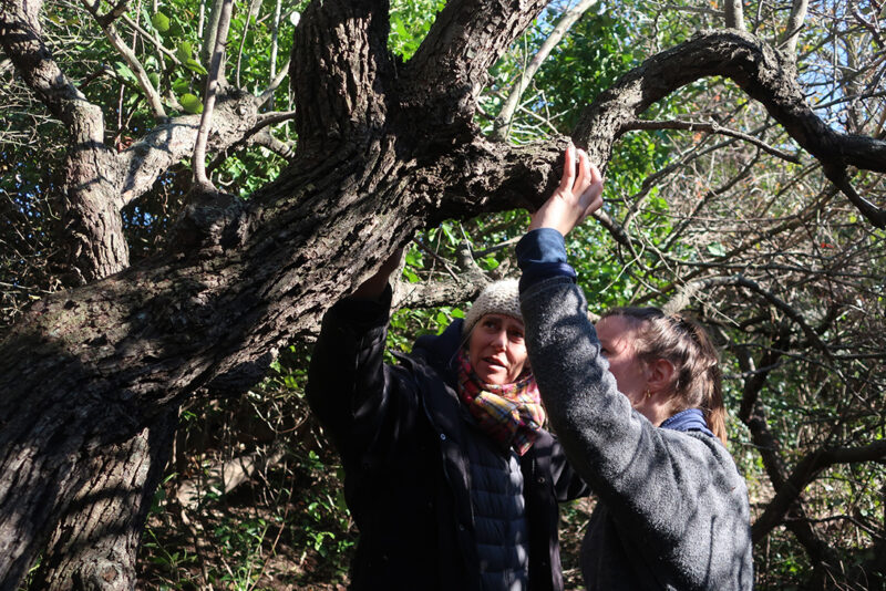 Un partenariat inédit avec les jardins botaniques de France
